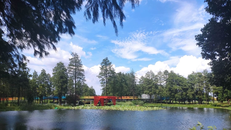 98堂论坛-追求康健,你我一起生长